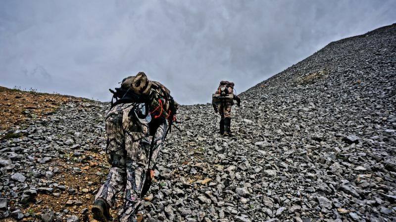 Alaska Range Dall Sheep: My First Sheep Hunt | Page 2 | Rokslide Forum